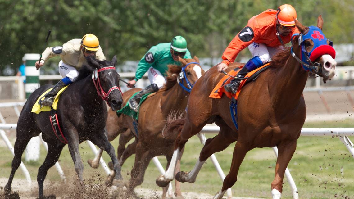 Horse Racing