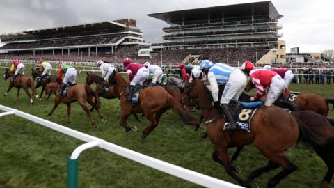 Horse Racing