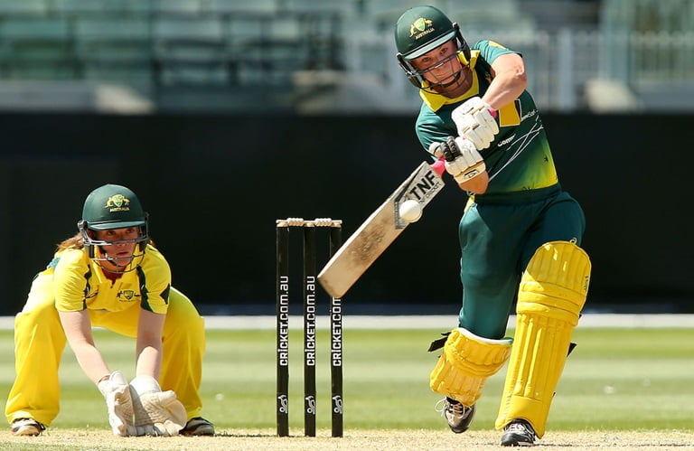 Cricket