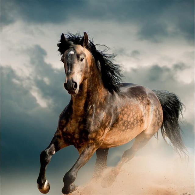 Horse Racing
