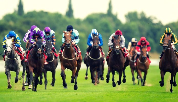 Horse Racing