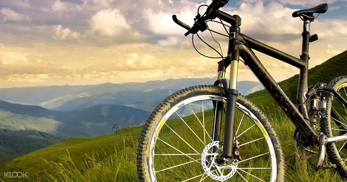  Cycling