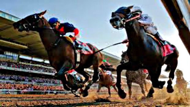  Horse Racing