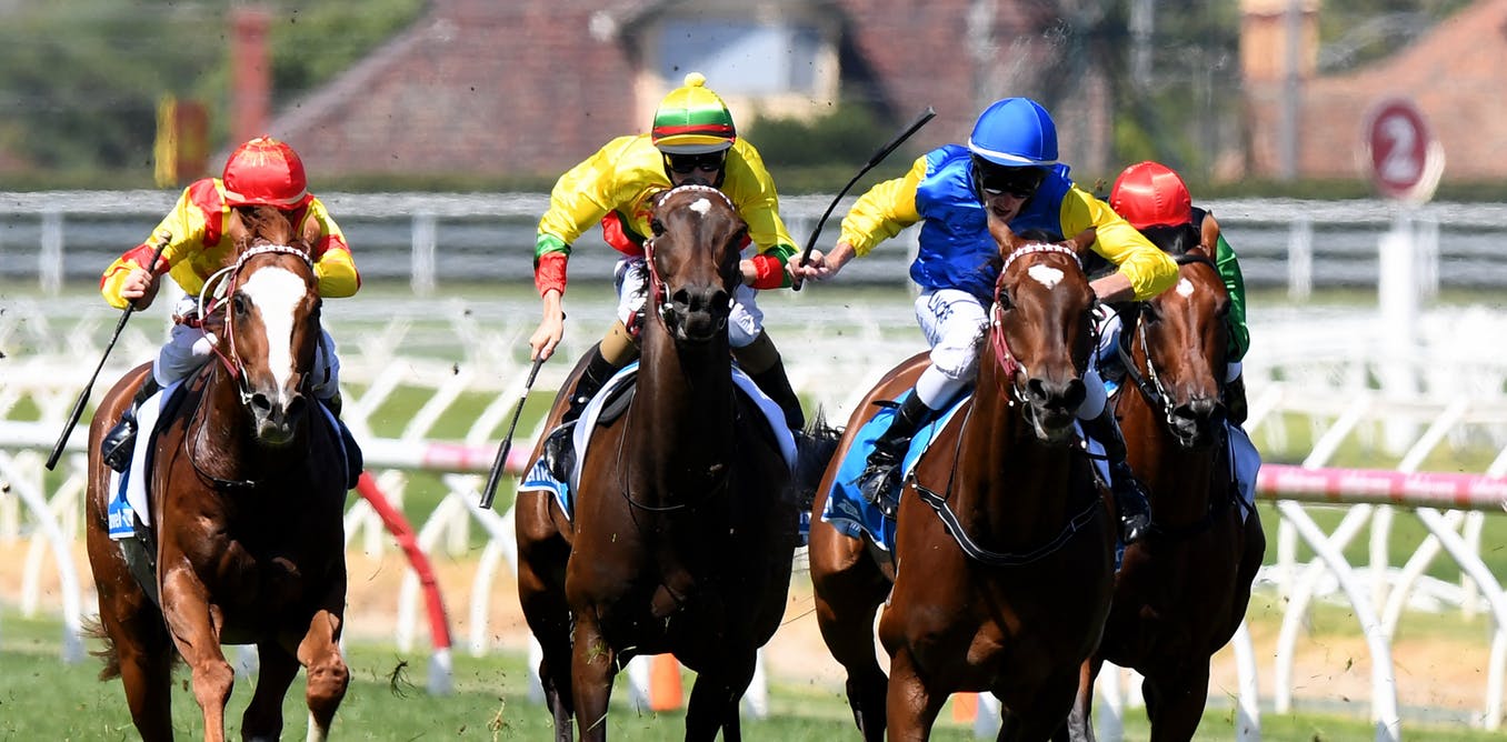  Horse Racing