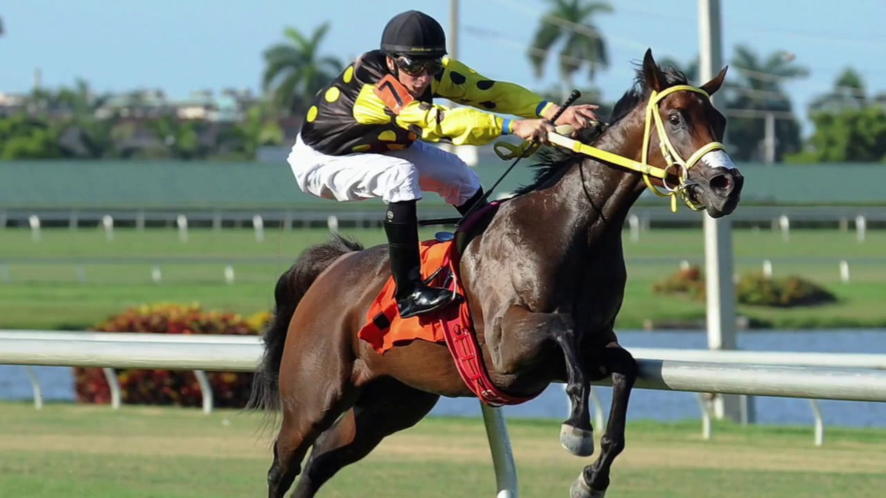 Horse Racing