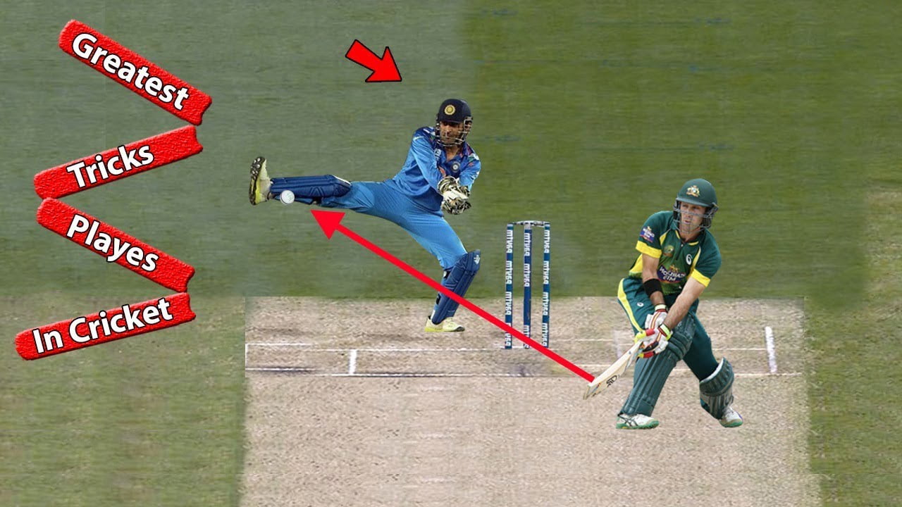 Cricket