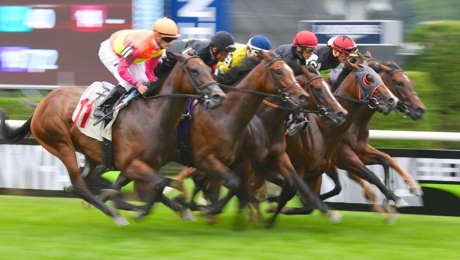 Horse Racing
