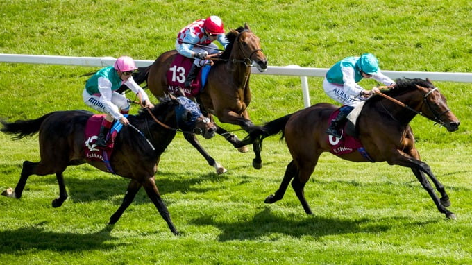  Horse Racing