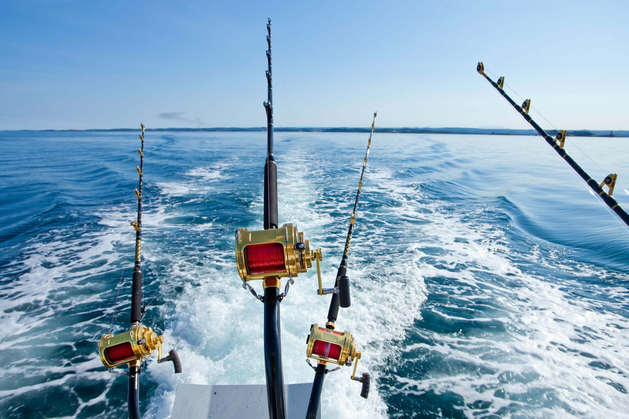 Finding the Best Fishing Charters